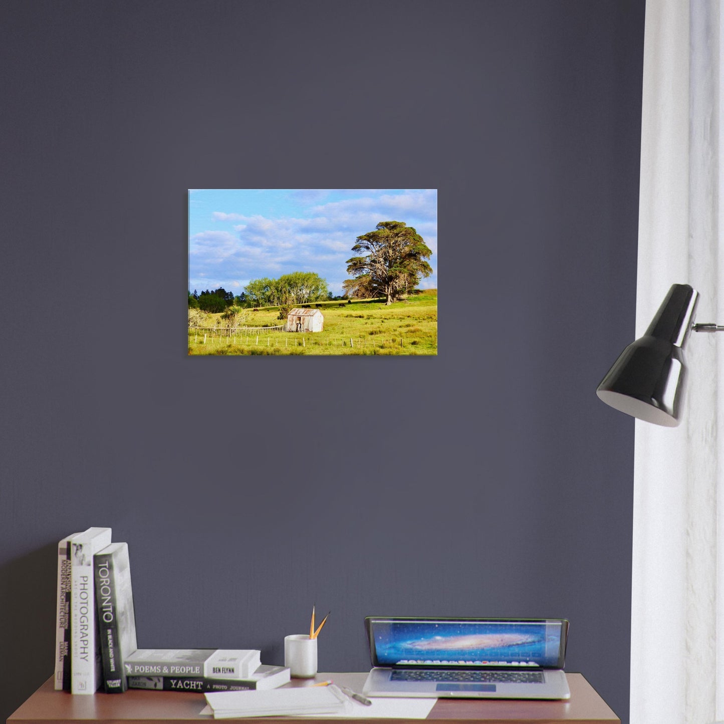 rural mangawhai nz, new zealand, nz, rural nz, weathered shed nz, oak trees nz, macrocarpa nz, macrocarpa trees nz, cows nz, rural landscape nz, urlich drive nz, fields nz, pastures nz, tornado nz, storm nz, piwaka prints nz, piwaka prints,