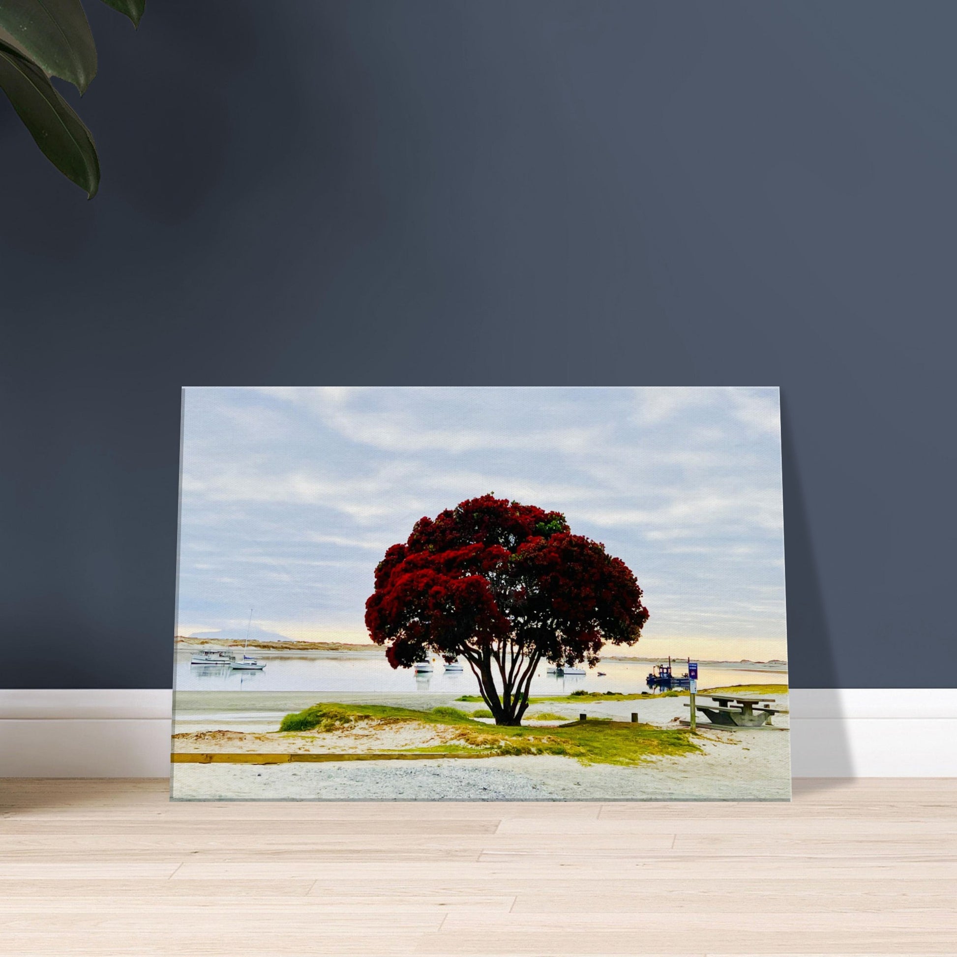 pohutukawa nz, pohutukawa tree, pohutukawa tree nz, mangwhai heads nz, mangwhai heads estuary nz, mangwhai heads estuary, new zealand, nz, piwaka prints, piwaka prints nz, estuary nz, summer nz,