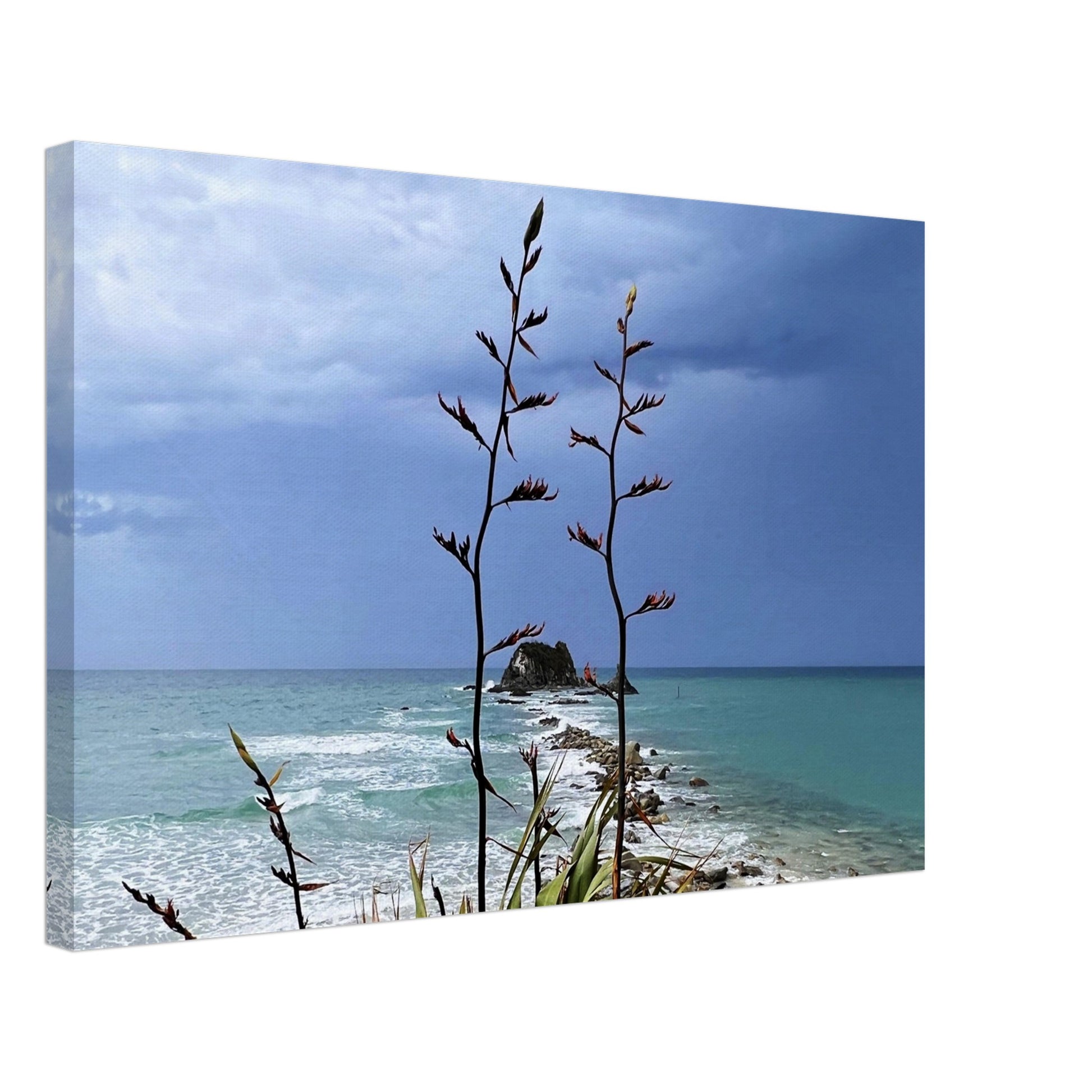 stormy nz, head rock mangawhai, sentinel rock nz, mangawhai heads surf beach nz, mangawhai heads surf beach, mangawhai nz, flax nz, flax, grey nz, moody nz, piwaka prints, piwaka prints nz,