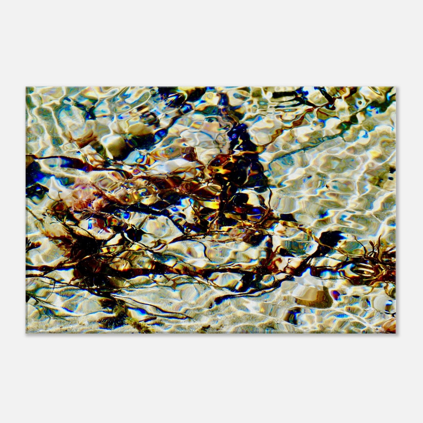 sunlight, reflections nz, sunlight nz, shells nz, seaweed nz, white sand nz, sparkling nz, piwaka prints, priwaka prints nz, canvas nz, canvas art nz,