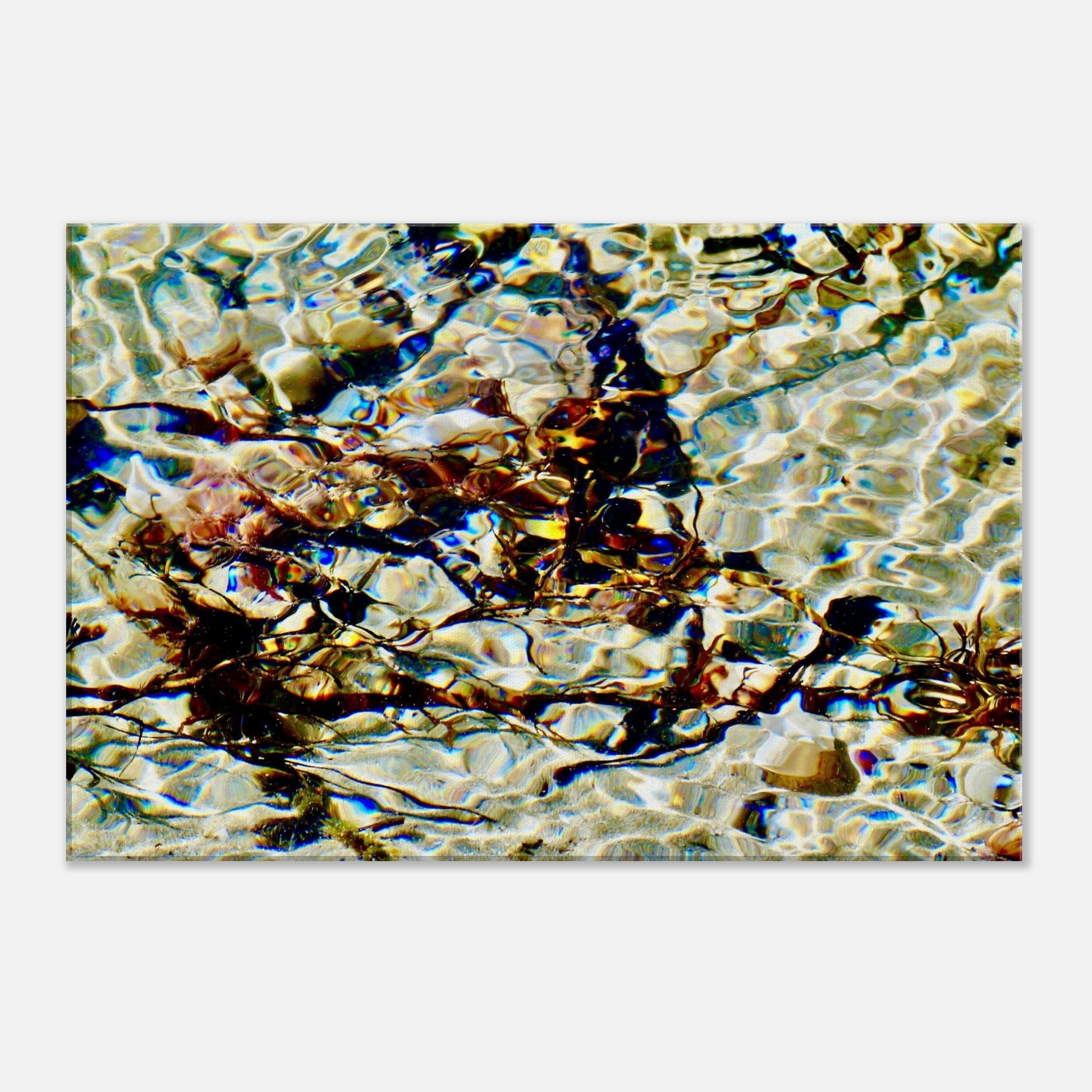 sunlight, reflections nz, sunlight nz, shells nz, seaweed nz, white sand nz, sparkling nz, piwaka prints, priwaka prints nz, canvas nz, canvas art nz,
