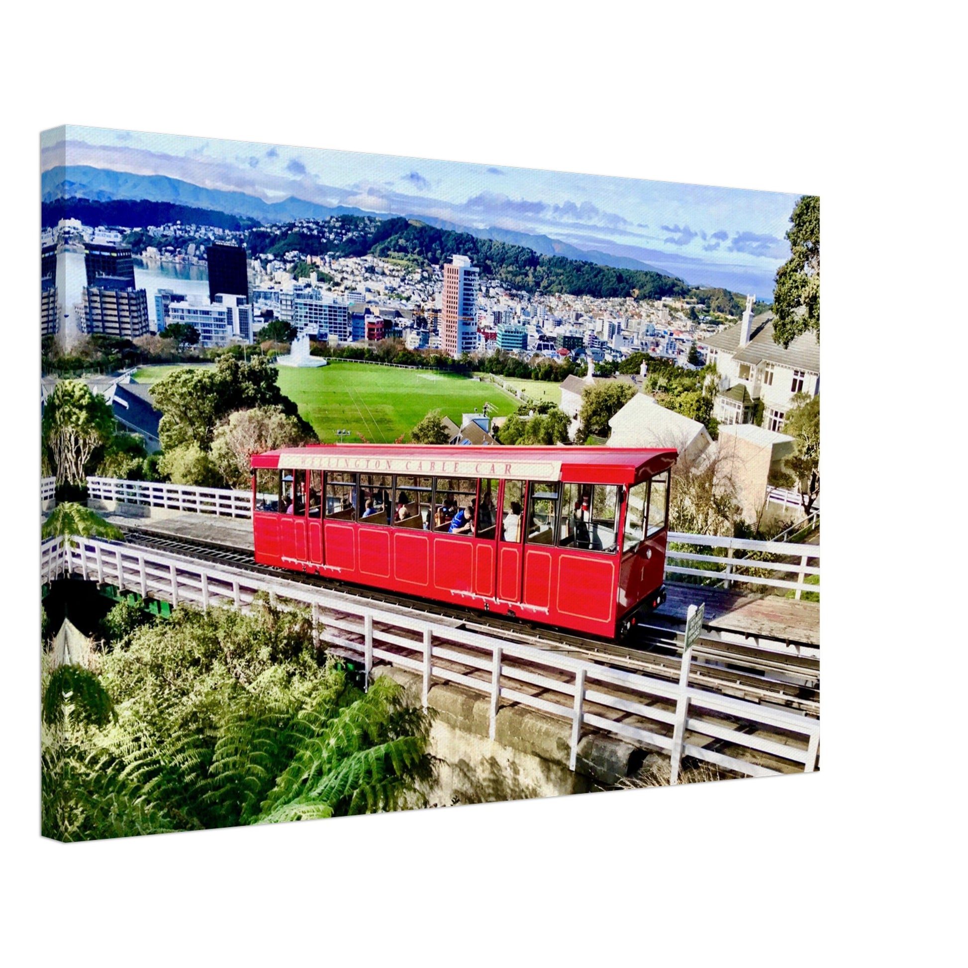 wellington nz, wellington cable car, nz cable car, capital city nz, city nz, red cable car nz, red nz, piwaka prints nz, botanical gardens nz, nz, new zealand, canvas nz, canvas art nz, art nz, wellington cable car canvas nz, wellington botanical gardens nz, piwaka prints,