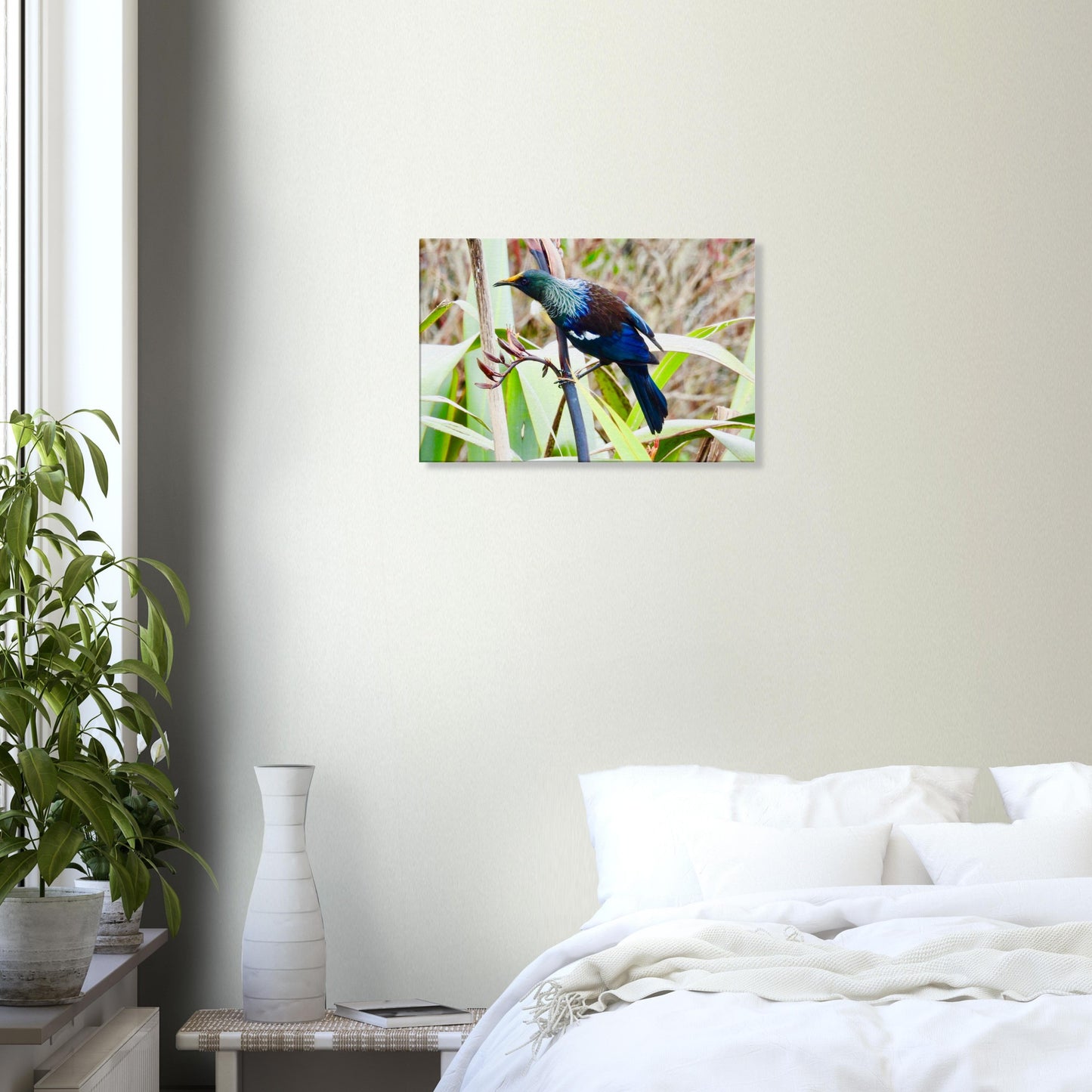 tui, native bird, nz, new zealand, flax, paradise, blue, piwaka prints, canvas, canvases, bird, wall art, bedroomtui, native bird, nz, new zealand, flax, paradise, blue feathers, piwaka prints, canvas, canvases, bird, wall art, tui canvas, tui canvas nz, tui nz, tui new zealand, bedroom art nz,