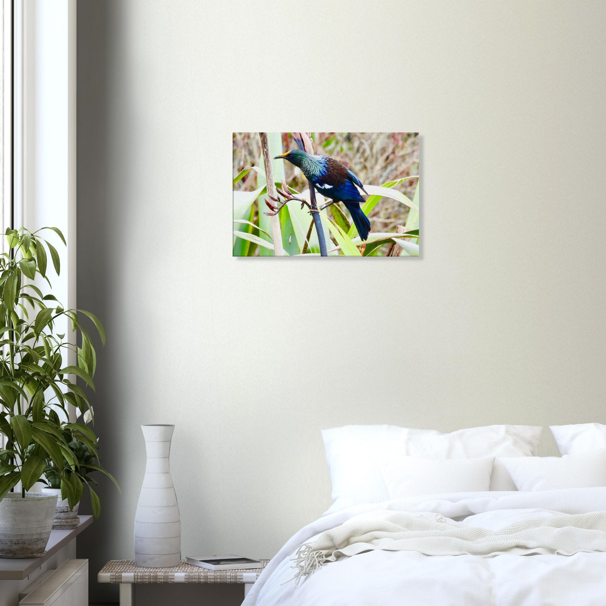 tui, native bird, nz, new zealand, flax, paradise, blue, piwaka prints, canvas, canvases, bird, wall art, bedroomtui, native bird, nz, new zealand, flax, paradise, blue feathers, piwaka prints, canvas, canvases, bird, wall art, tui canvas, tui canvas nz, tui nz, tui new zealand, bedroom art nz,