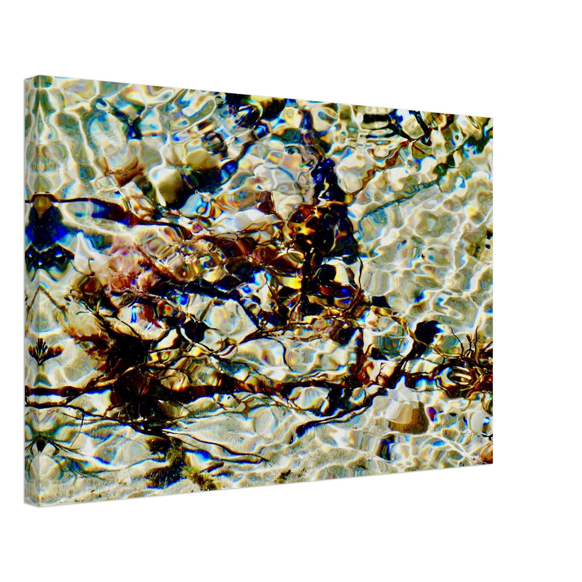 sunlight, reflections nz, sunlight nz, shells nz, seaweed nz, white sand nz, sparkling nz, piwaka prints, priwaka prints nz, canvas nz, canvas art nz,