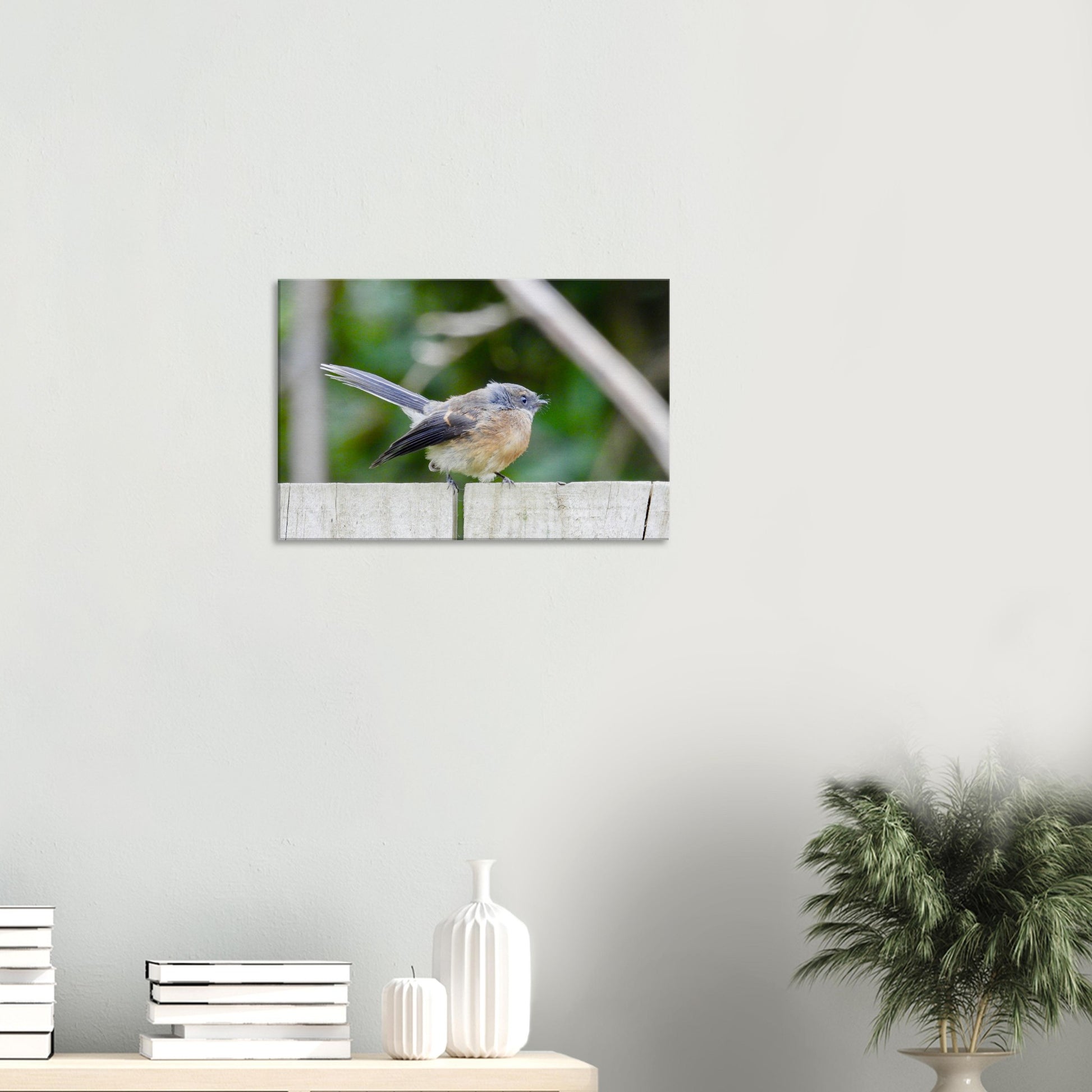 Piwakawaka, fantail, piwaka, canvas, nz, new zealand, bird, piwaka prints, wall art,