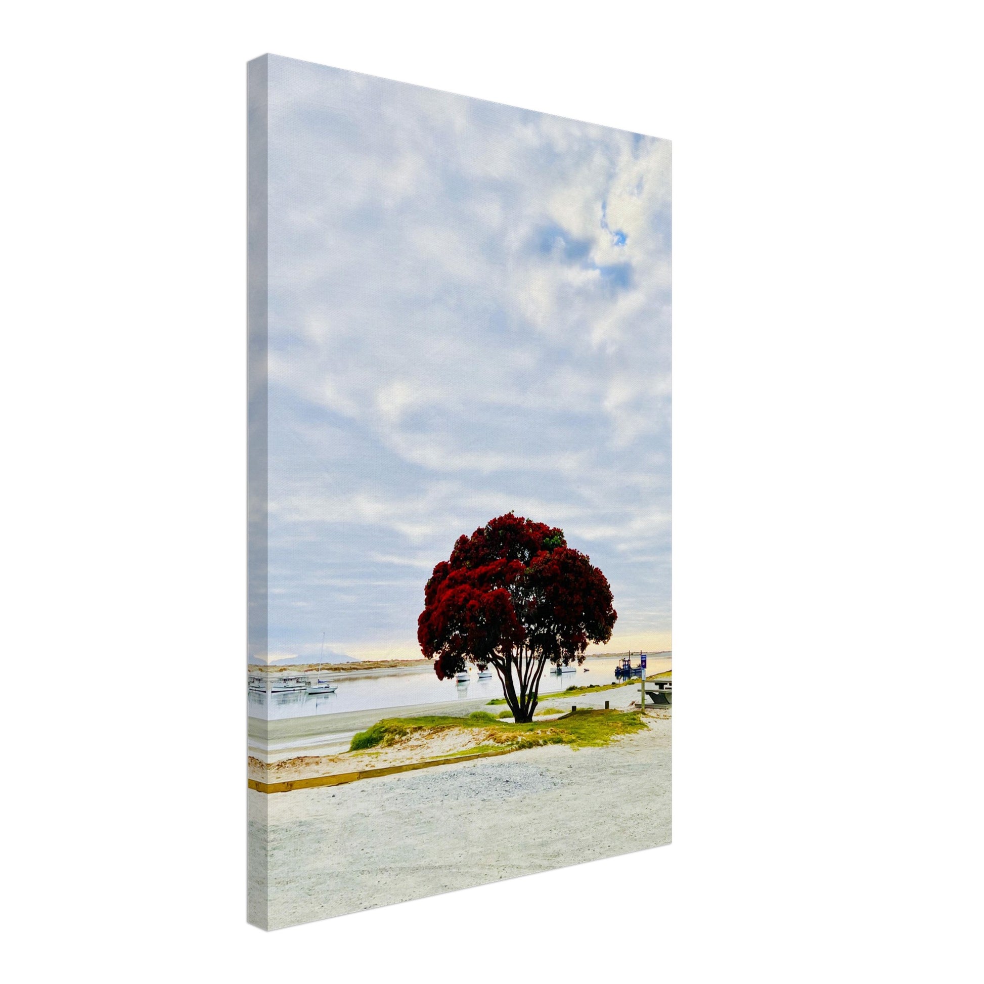 pohutukawa nz, pohutukawa tree, pohutukawa tree nz, mangwhai heads nz, mangwhai heads estuary nz, mangwhai heads estuary, new zealand, nz, piwaka prints, piwaka prints nz, estuary nz, summer nz,