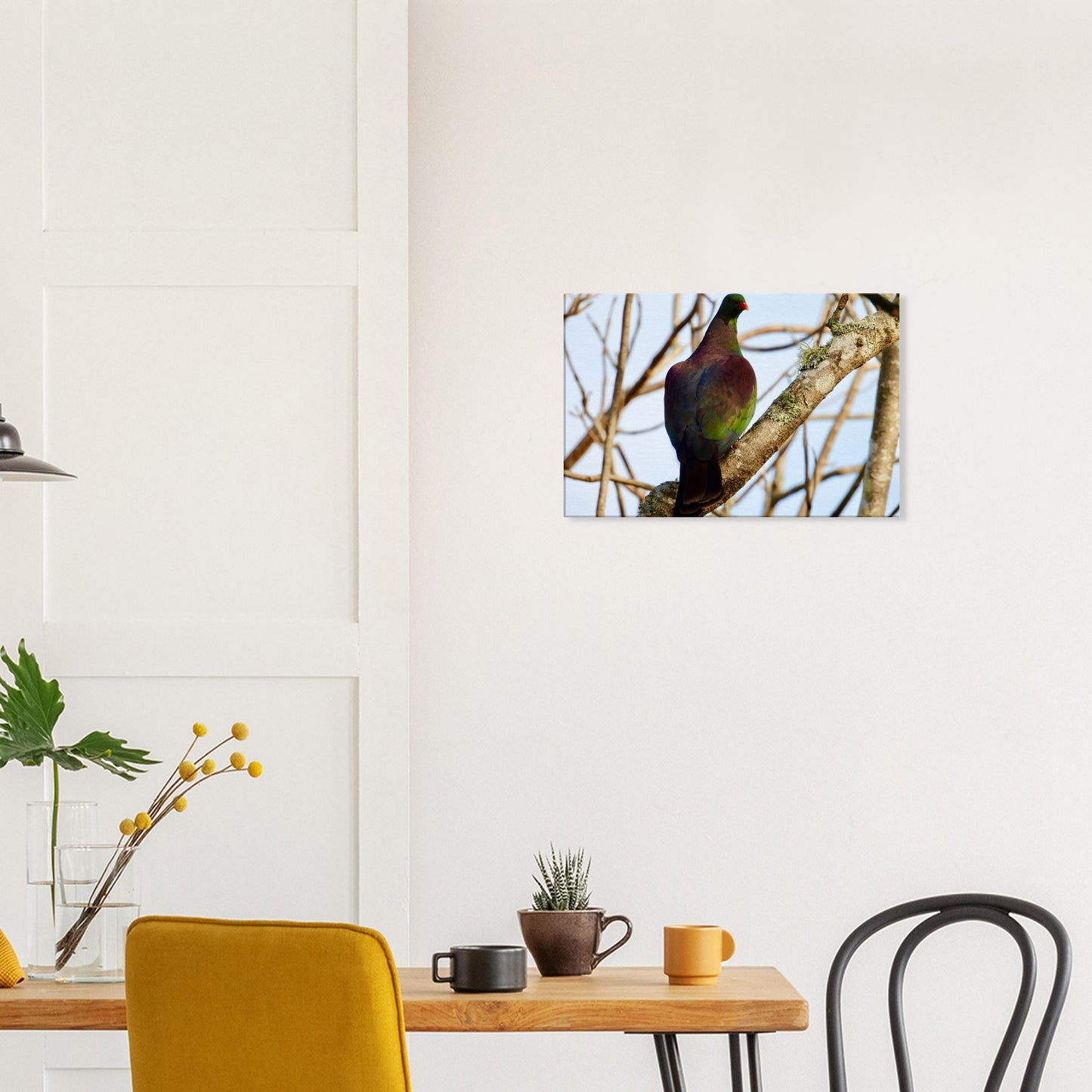 Kererū, kereru, tree, wood pigeon, native bird, nz, new zealand, northland, wall art, canvas, piwaka prints, christmas, gift idea,