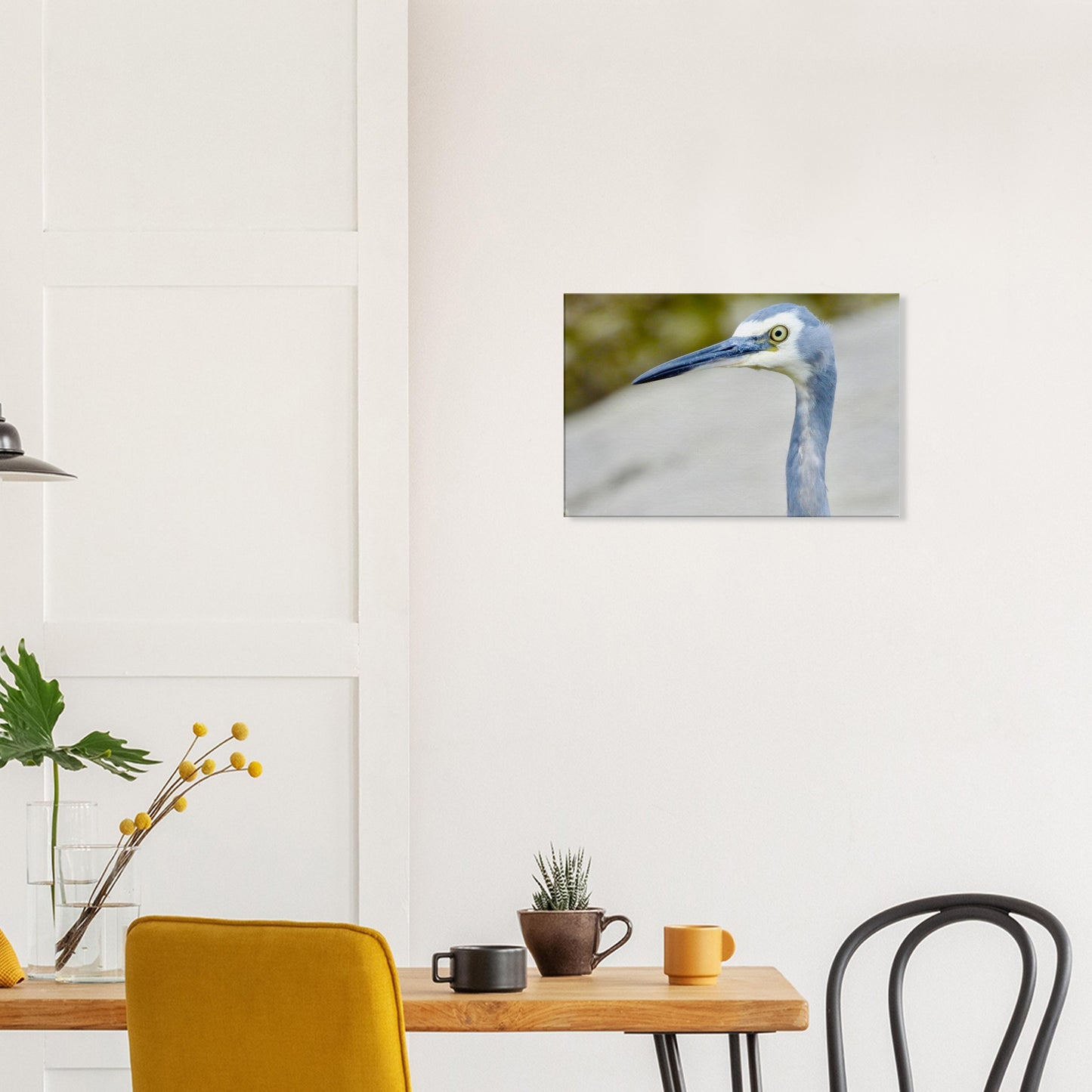 Heron nz, face nz, mangawhai heads, surf beach nz, mangawhai heads surf beach, northland, nz, new zealand, wall art nz, fun picture nz, piwaka prints nz, canvas nz, heron canvas nz, heron wall art nz, mangawhai, piwaka prints,