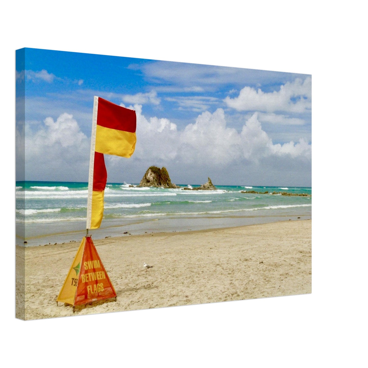 swim between flags nz, beach nz, mangawhai heads nz, seagull nz, piwaka prints nz, priwaka prints, surf lifesaving new zealand, surf lifesaving nz, surf lifesaving, summer nz,