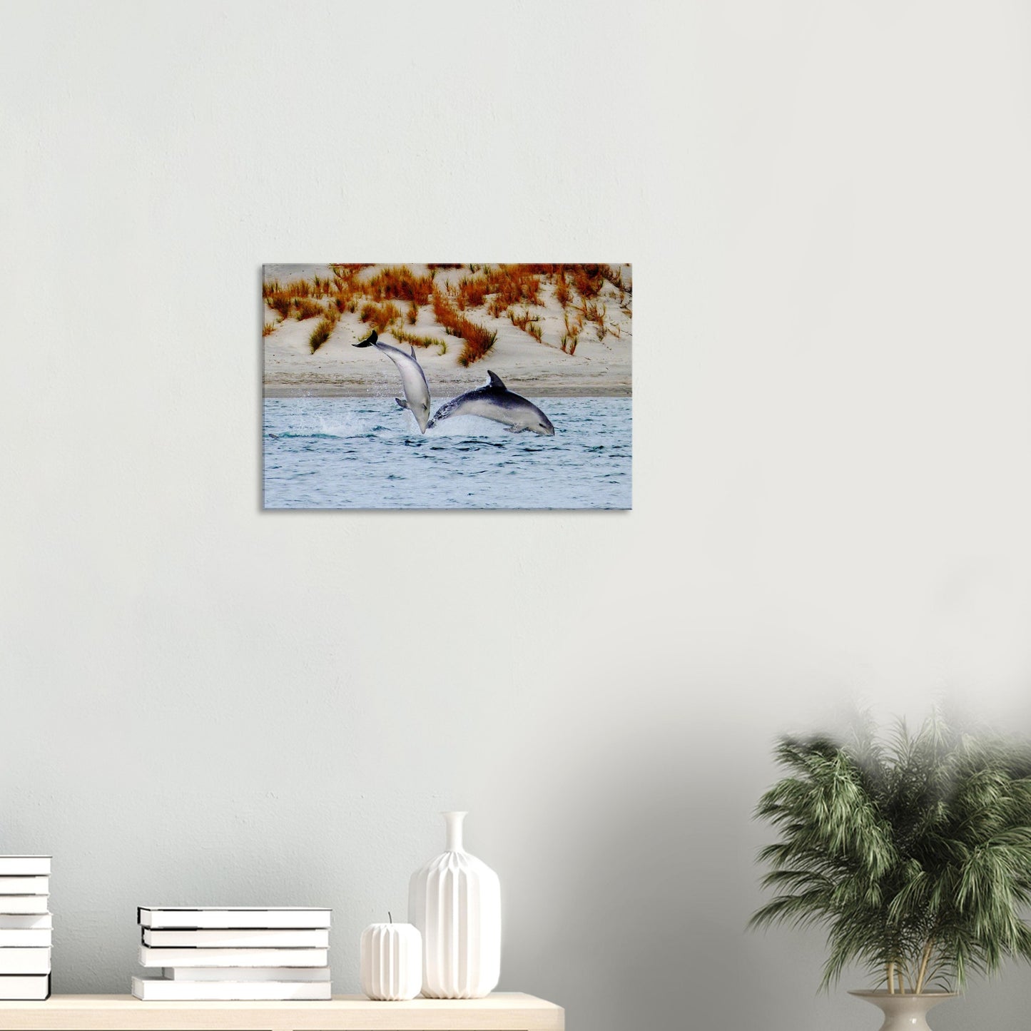 dolphins nz, mangawhai heads estuary, mangawhai heads, mangawhai estuary, mangawhai, estuary nz, northland, nz, new zealand, dolphin canvas nz, canvas nz,  east coast nz, paradise nz, ocean life nz, marine life nz, piwaka prints nz, piwaka prints