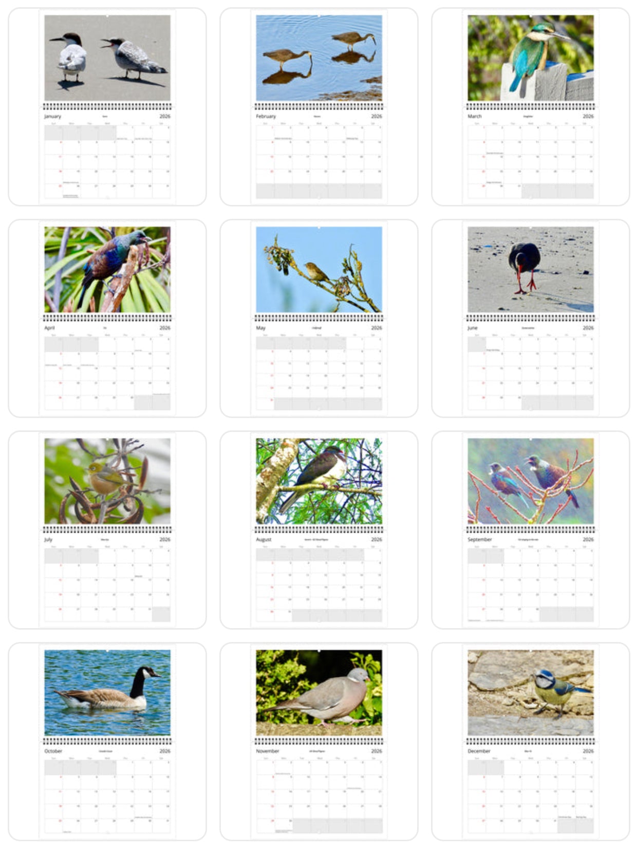 Birdlife - NZ & UK 2026 Calendar (Sunday to Saturday)
