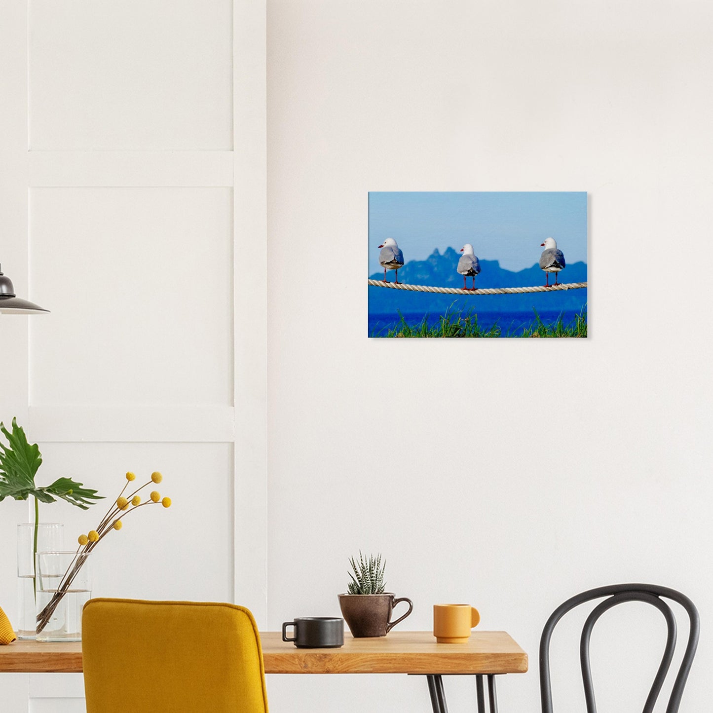 Seagulls, rope, three seagulls, taranga island, hen and chicks, hen and chicken, mangawhai heads, surf beach, northland, nz, new zealand, wall art, canvas, piwaka prints,