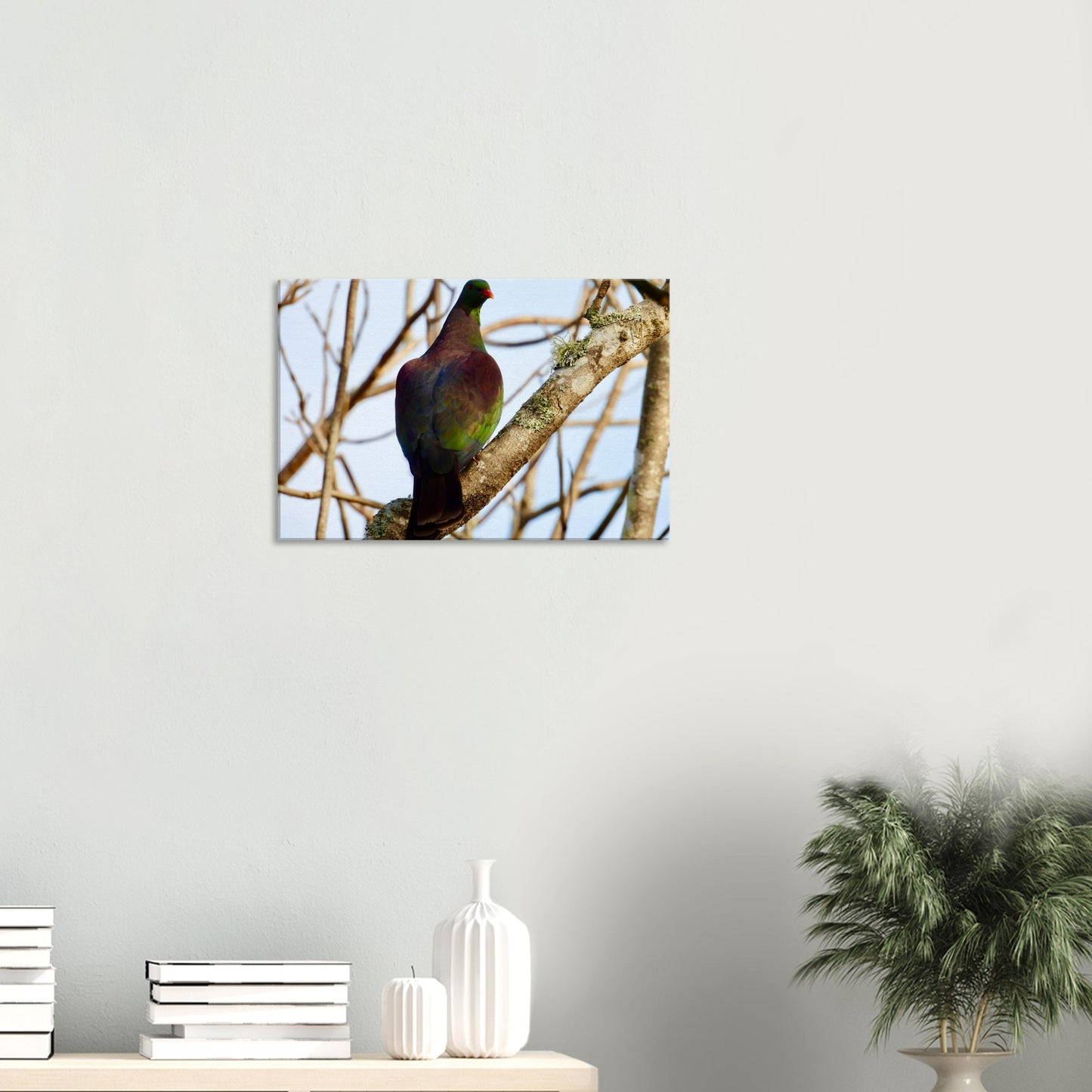 Kererū, kereru, tree, wood pigeon, native bird, nz, new zealand, northland, wall art, canvas, piwaka prints, christmas, gift idea,
