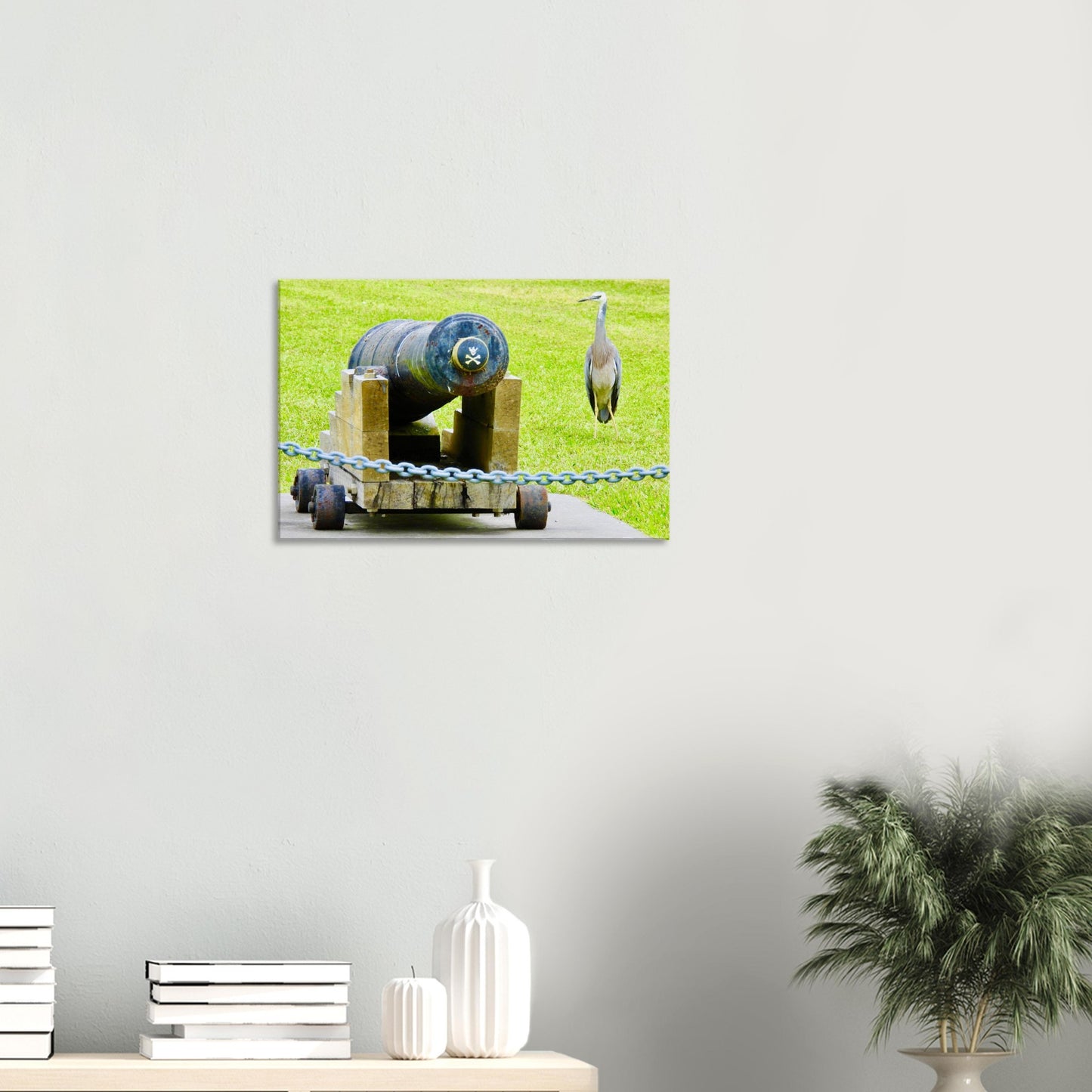 heron nz, nz heron, cannon nz, sentinel nz, piwaka prints nz, nature photography nz, new zealand, nz, bird life nz, northland nz, mangawhai nz,  canvas nz, canvas art nz,