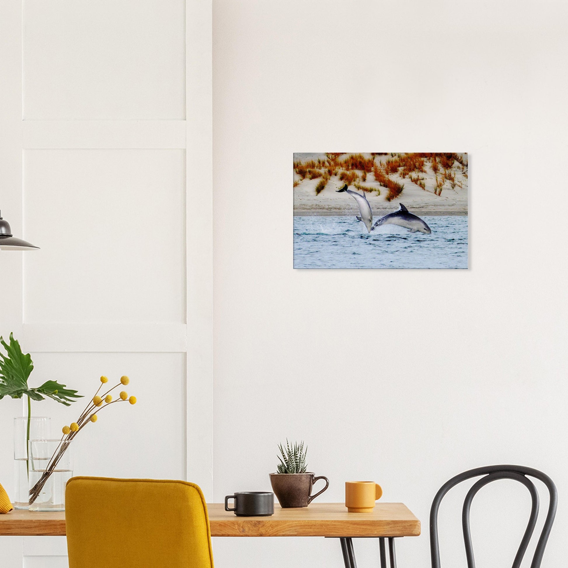 dolphins nz, mangawhai heads estuary, mangawhai heads, mangawhai estuary, mangawhai, estuary nz, northland, nz, new zealand, dolphin canvas nz, canvas nz,  east coast nz, paradise nz, ocean life nz, marine life nz, piwaka prints nz, piwaka prints