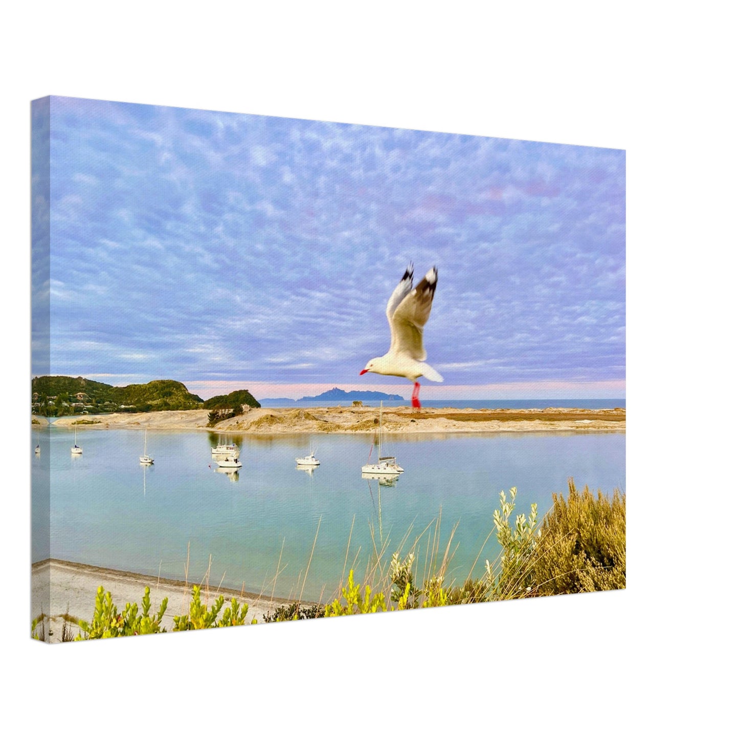 mangawhai heads nz, mangawhai nz, piwaka prints nz, piwaka prints, mangawhai heads estuary nz, estuary, mangawhai heads estuary, seagull nz, seagulls nz, boats nz, yachts nz, reflections nz, new zealand