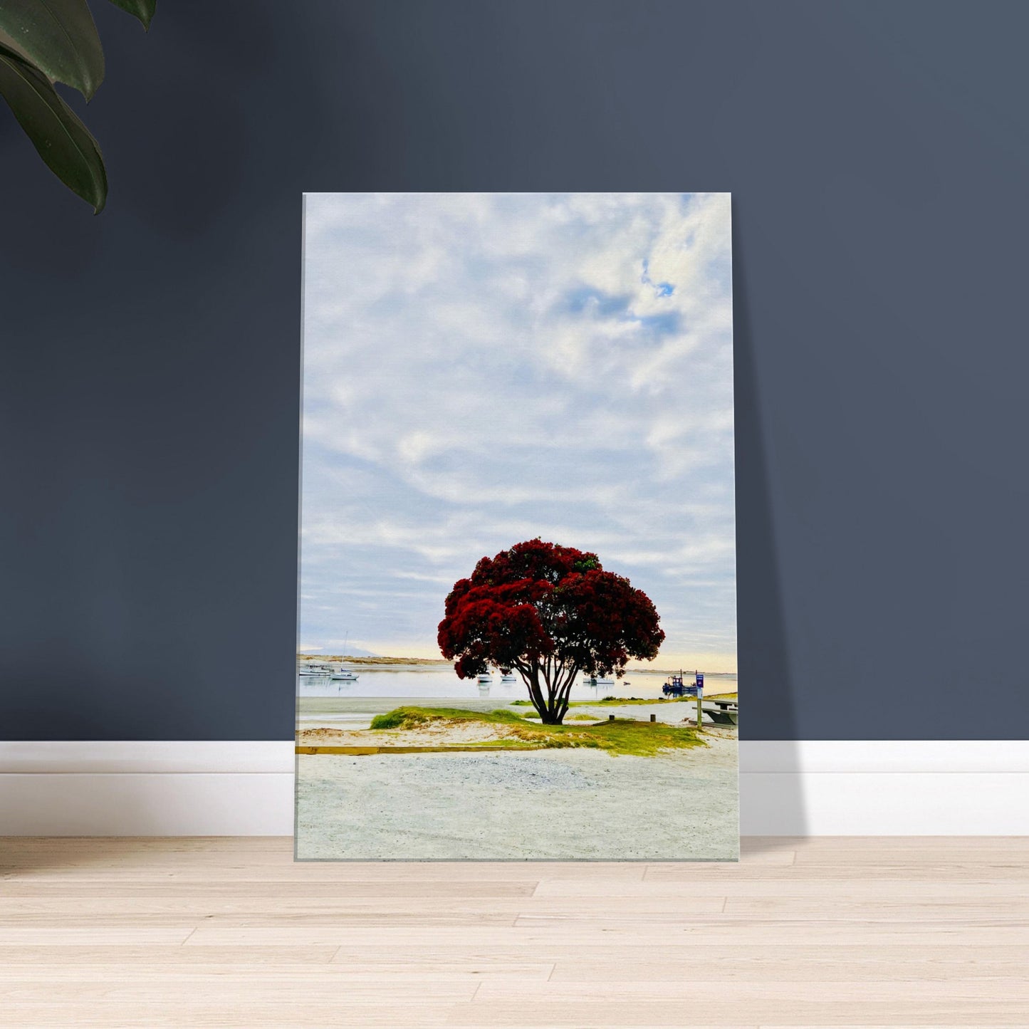 pohutukawa nz, pohutukawa tree, pohutukawa tree nz, mangwhai heads nz, mangwhai heads estuary nz, mangwhai heads estuary, new zealand, nz, piwaka prints, piwaka prints nz, estuary nz, summer nz, red nz, red flower nz,