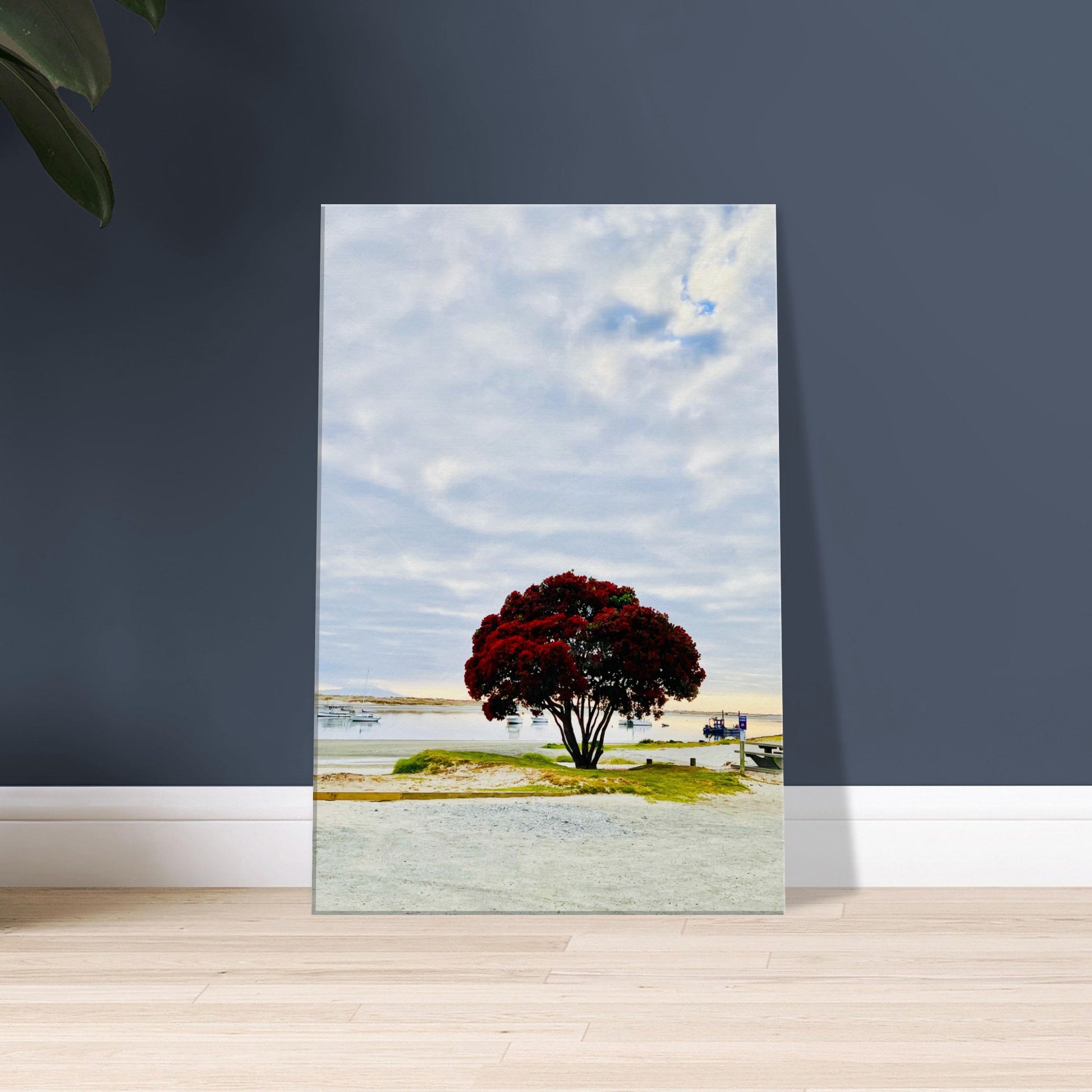 pohutukawa nz, pohutukawa tree, pohutukawa tree nz, mangwhai heads nz, mangwhai heads estuary nz, mangwhai heads estuary, new zealand, nz, piwaka prints, piwaka prints nz, estuary nz, summer nz, red nz, red flower nz,