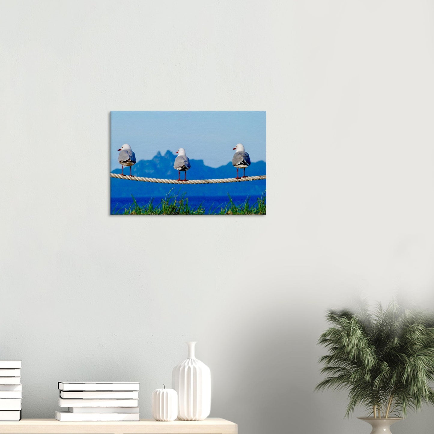 Seagulls, rope, three seagulls, taranga island, hen and chicks, hen and chicken, mangawhai heads, surf beach, northland, nz, new zealand, wall art, canvas, piwaka prints,