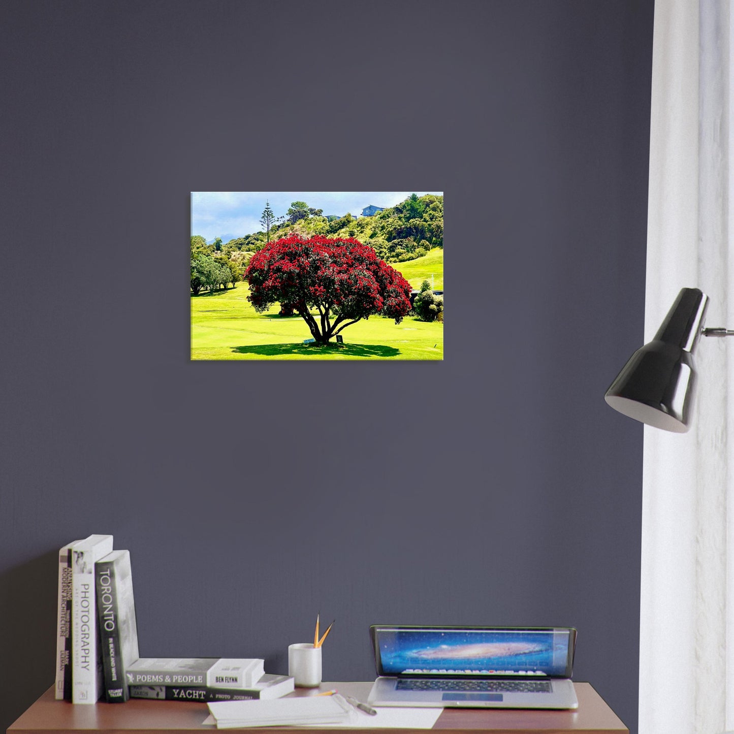 ce7abc57-8489-4493-bcc2-668a75a37d9d