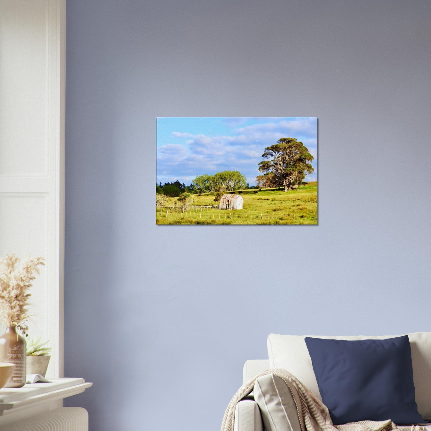 rural mangawhai nz, new zealand, nz, rural nz, weathered shed nz, oak trees nz, macrocarpa nz, macrocarpa trees nz, cows nz, rural landscape nz, urlich drive nz, fields nz, pastures nz, tornado nz, storm nz, piwaka prints nz, piwaka prints,