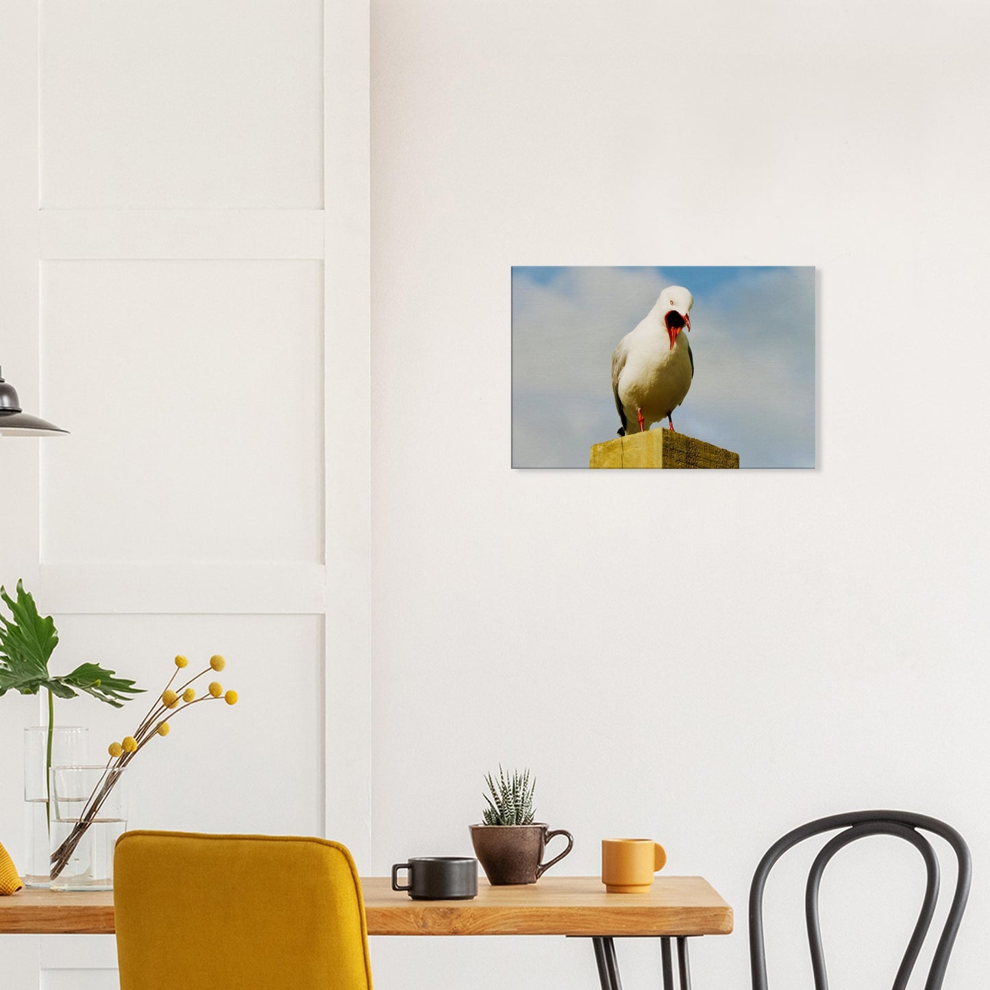 squawking seagull, seagull nz, northland, nz, new zealand, seagull new zealand, piwaka prints, wall art nz, canvas nz, bird canvas nz, surf beach nz, mangawhai nz, wellington nz, napier nz,