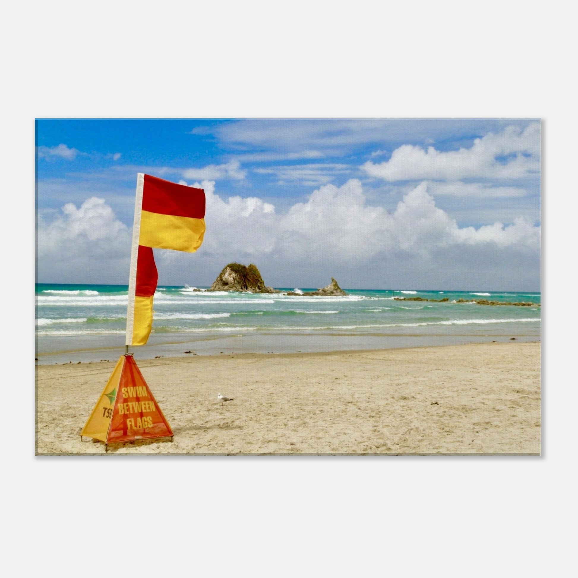 swim between flags nz, beach nz, mangawhai heads nz, seagull nz, piwaka prints nz, priwaka prints, surf lifesaving new zealand, surf lifesaving nz, surf lifesaving, summer nz,