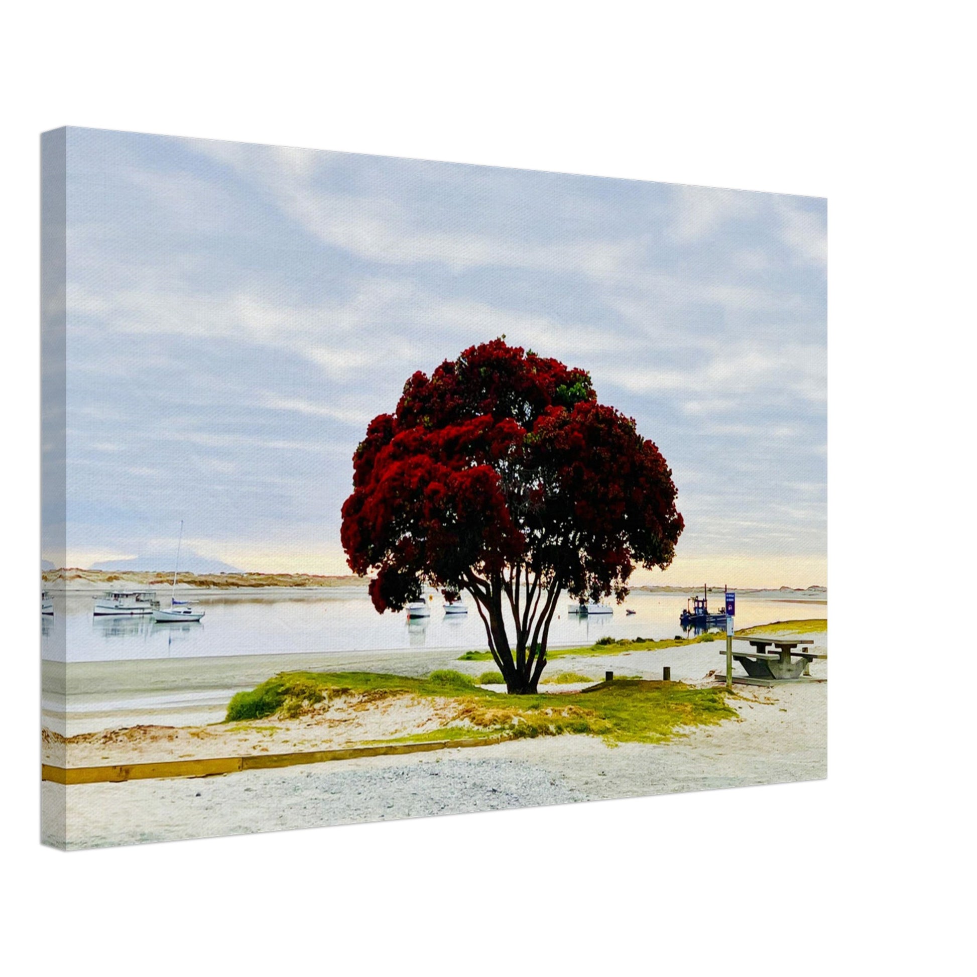 pohutukawa nz, pohutukawa tree, pohutukawa tree nz, mangwhai heads nz, mangwhai heads estuary nz, mangwhai heads estuary, new zealand, nz, piwaka prints, piwaka prints nz, estuary nz, summer nz,