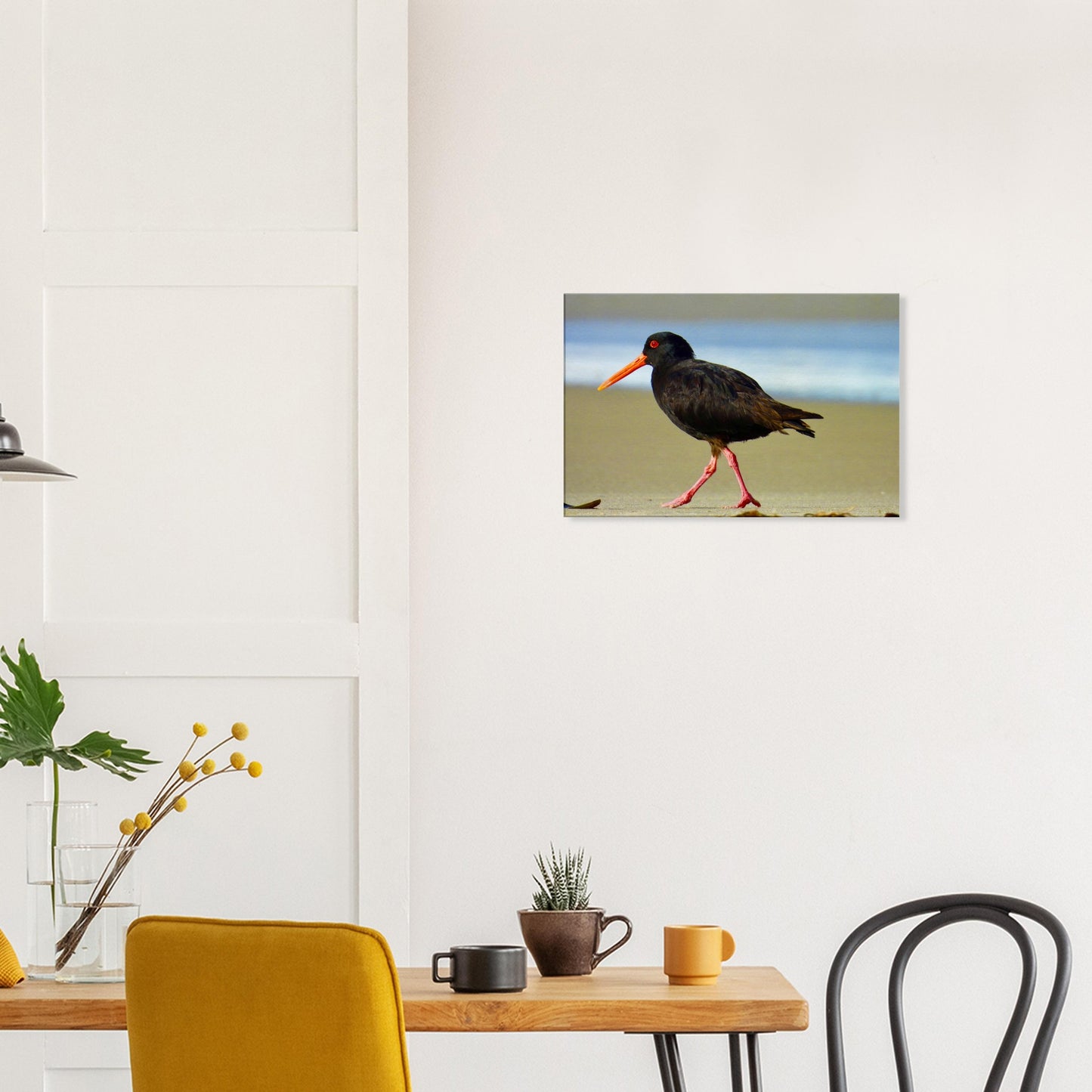 Oystercatcher, variable oystercatcher, nz, new zealand, northland, mangawhai heads, surf beach, black bird, black, bird, wall art, canvas, piwaka prints,