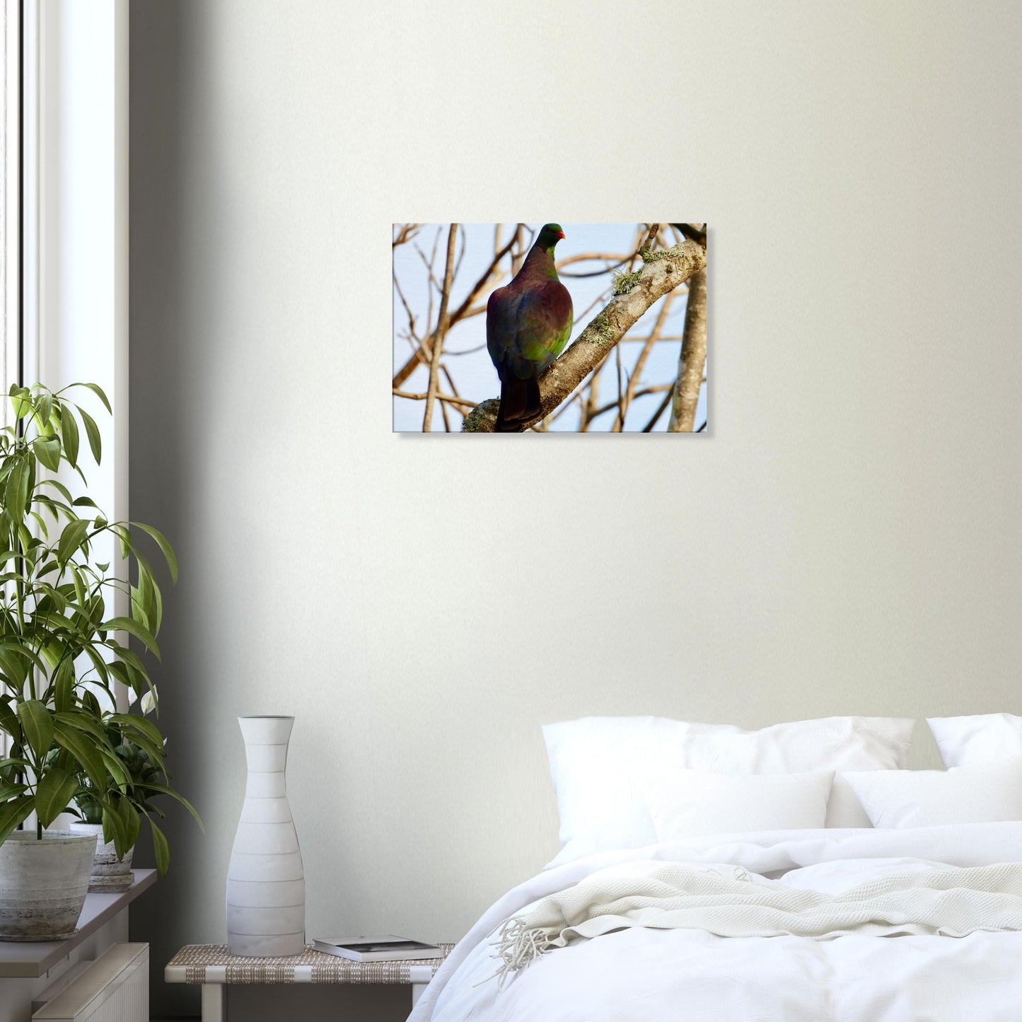 Kererū, kereru, tree, wood pigeon, native bird, nz, new zealand, northland, wall art, canvas, piwaka prints, christmas, gift idea, bedroom,