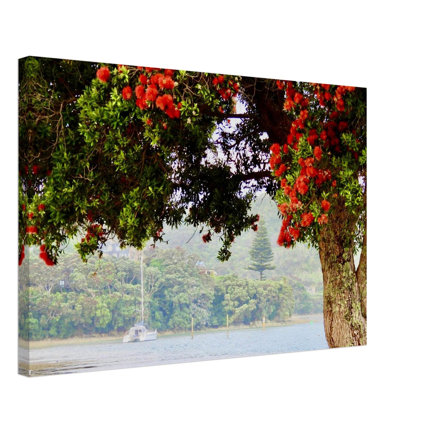 06ab1b7e-b99c-4c71-b3b5-78885446be73