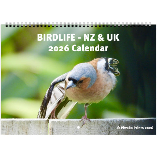 piwaka prints, chaffinch, wall calendar, calendar, tui, birdlife, canada goose, heron, new zealand, united kingdom, nz, uk, 2026, kingfisher,