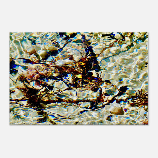 sunlight, reflections nz, sunlight nz, shells nz, seaweed nz, white sand nz, sparkling nz, piwaka prints, priwaka prints nz, canvas nz, canvas art nz,