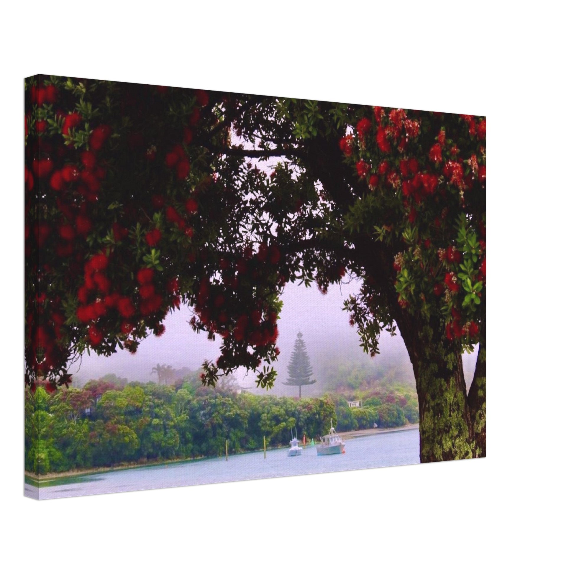 307c3186-c174-4953-9cc1-52028d4a2e9e