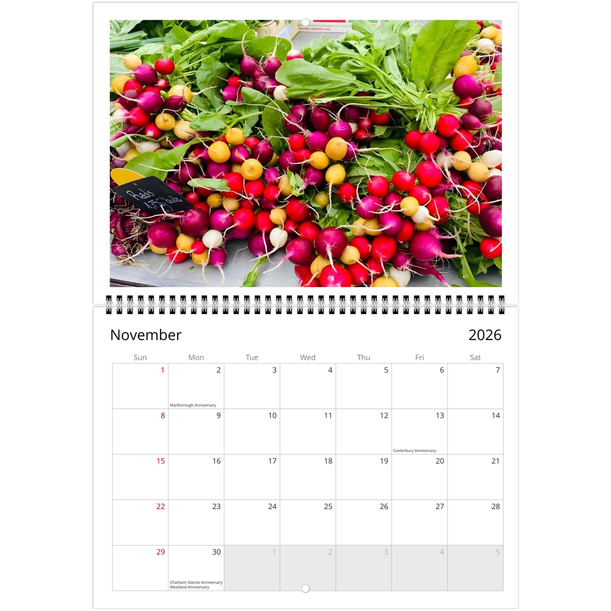 31d56ca9-03a7-4408-b131-d959b115caa1