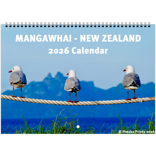 mangawhai, mangawhai heads, ocean, surf beach, beach, surf, northland, new zealand, nz, waves, piwakawaka, piwaka, piwaka prints, calendar, nz calendar, paradise, surfing, surfboard, office, wall calendar, wall, nz calendar 2026, new zealand calendar 2026, 2026, dolphins