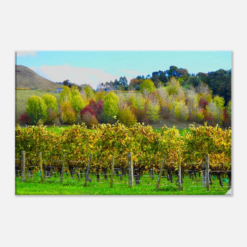 taradale, vineyard, winery, autumn, autumnal, napier, nz, new zealand, piwaka prints, green, red, orange, trees, grape vines, canvas art nz,