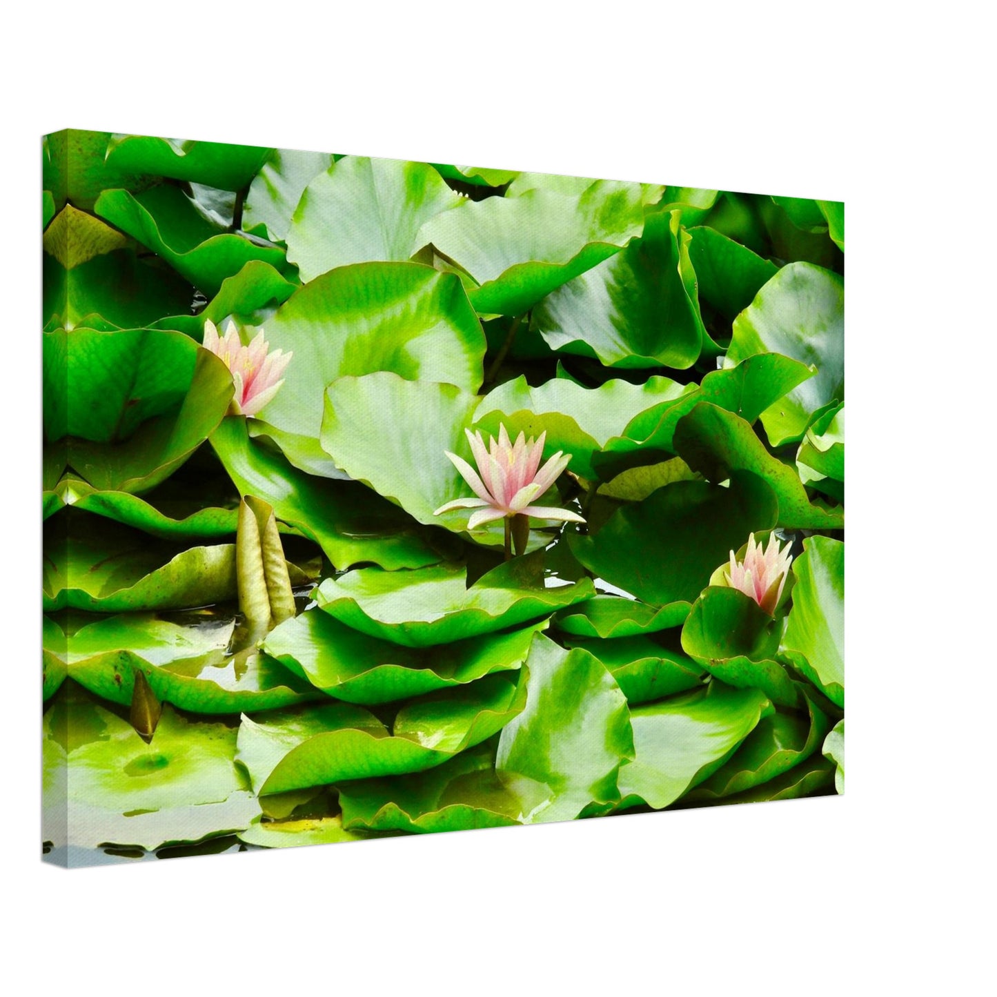 4628808e-1566-4a96-a049-3b6a084088bc