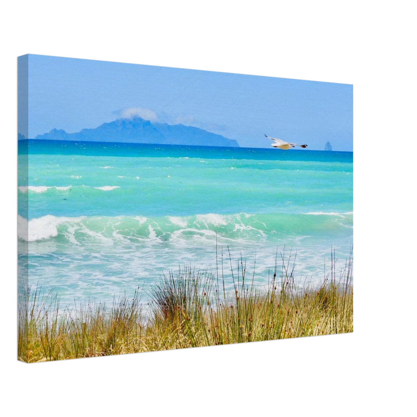 langs beach, langs, northland, taranga island, hen and chicken islands, sail rock, seagull, ocean view, turquoise water, turquoise, summer, nz, new zealand, piwaka prints