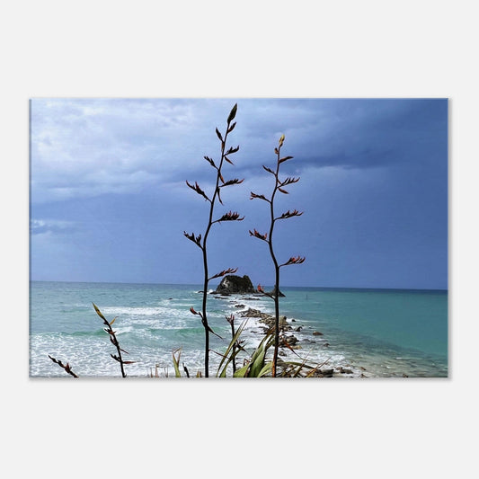 stormy nz, head rock mangawhai, sentinel rock nz, mangawhai heads surf beach nz, mangawhai heads surf beach, mangawhai nz, flax nz, flax, grey nz, moody nz, piwaka prints, piwaka prints nz,
