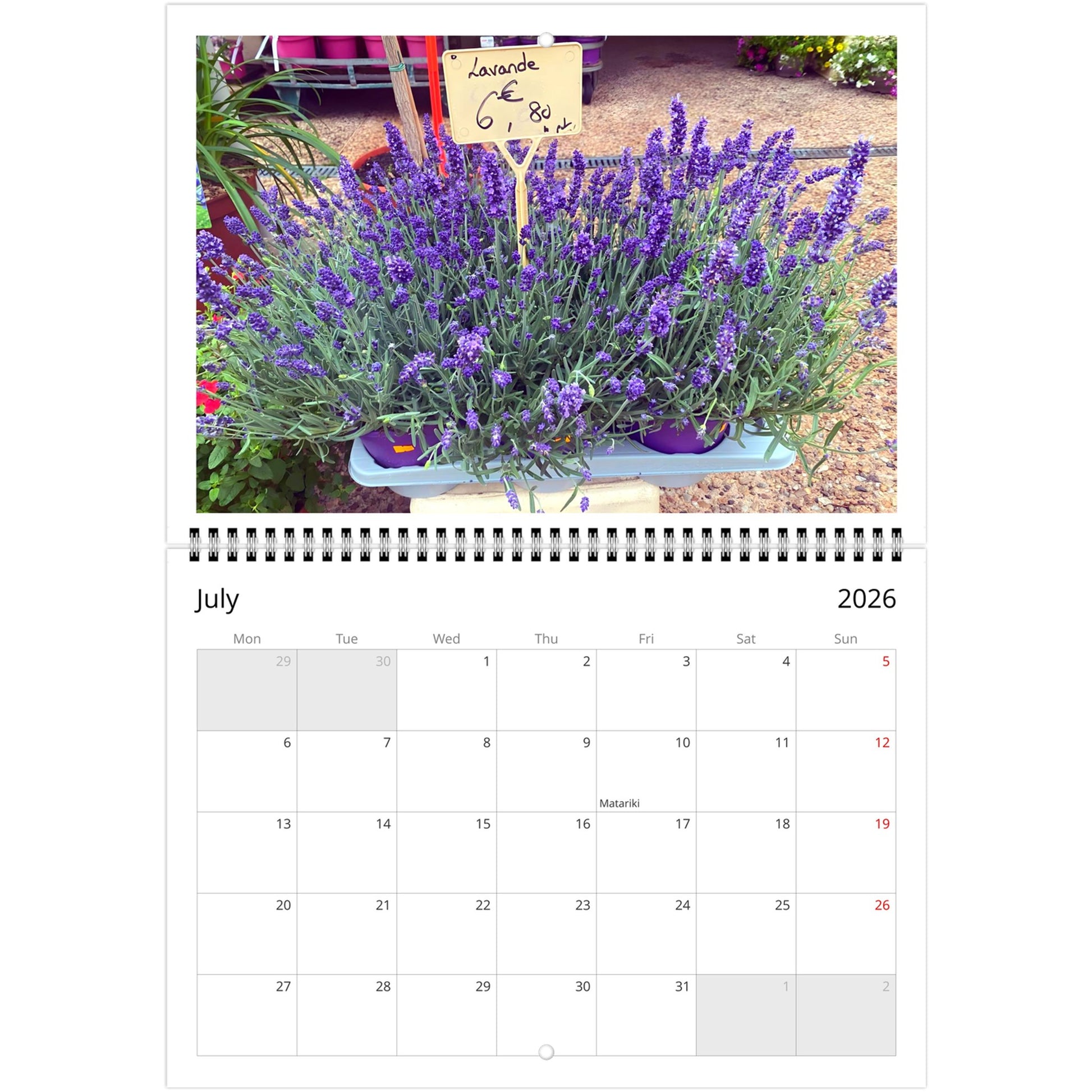 65c97979-b6a9-40e6-b5b6-21830fef8e57