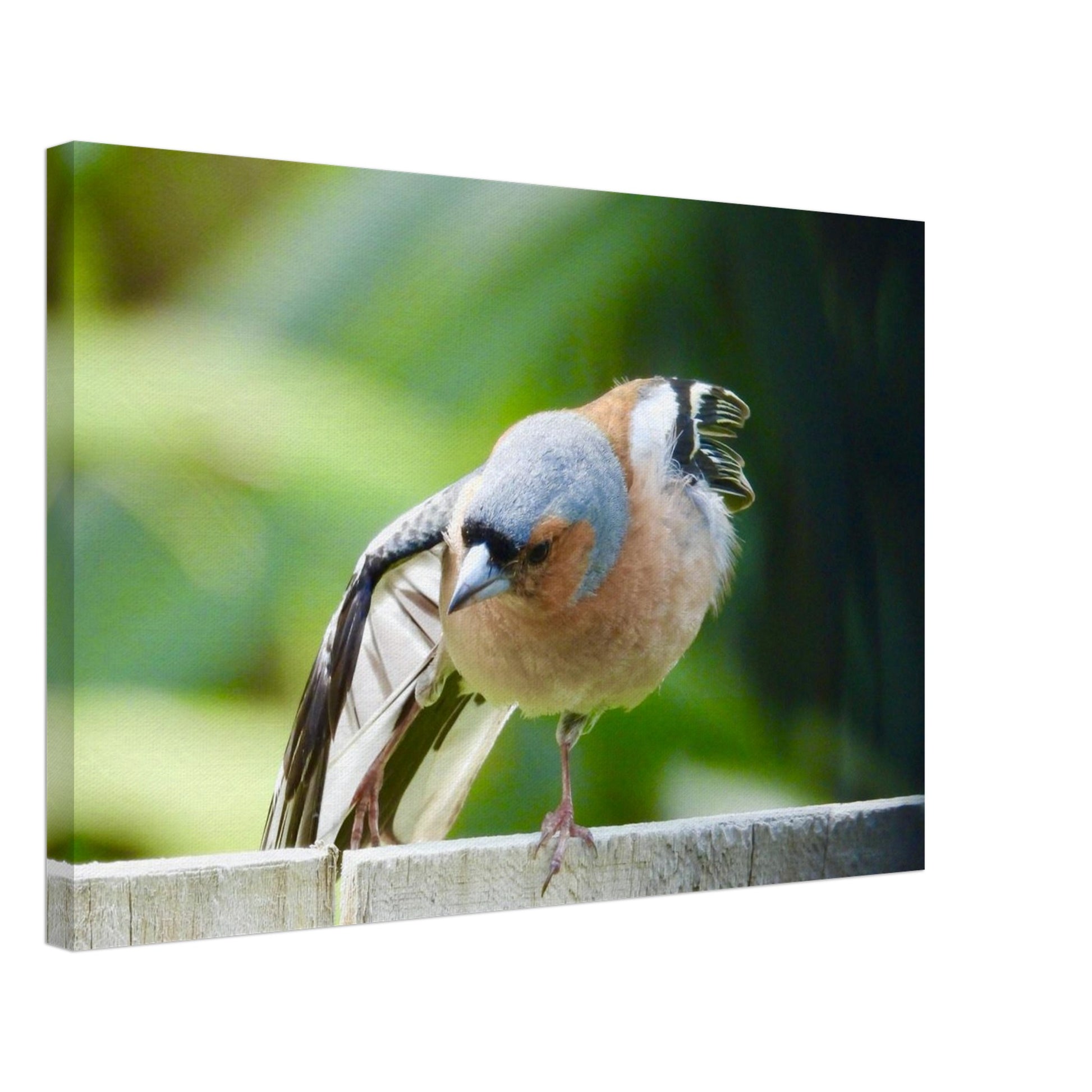 8430daff-4ea9-44e6-a865-35229847216a