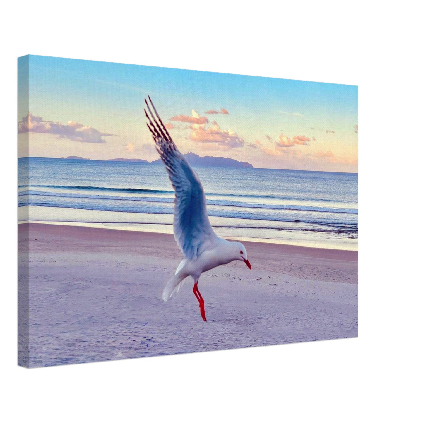 84453be8-4f8e-4504-9792-0151d3fa4aa5