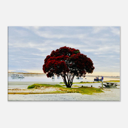 pohutukawa nz, pohutukawa tree, pohutukawa tree nz, mangwhai heads nz, mangwhai heads estuary nz, mangwhai heads estuary, new zealand, nz, piwaka prints, piwaka prints nz, estuary nz, summer nz,
