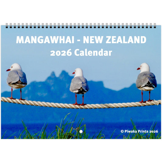 mangawhai, mangawhai heads, ocean, surf beach, beach, surf, northland, new zealand, nz, waves, piwakawaka, piwaka, piwaka prints, calendar, nz calendar, paradise, surfing, surfboard, office, wall calendar, wall, nz calendar 2026, new zealand calendar 2026, 2026, dolphins