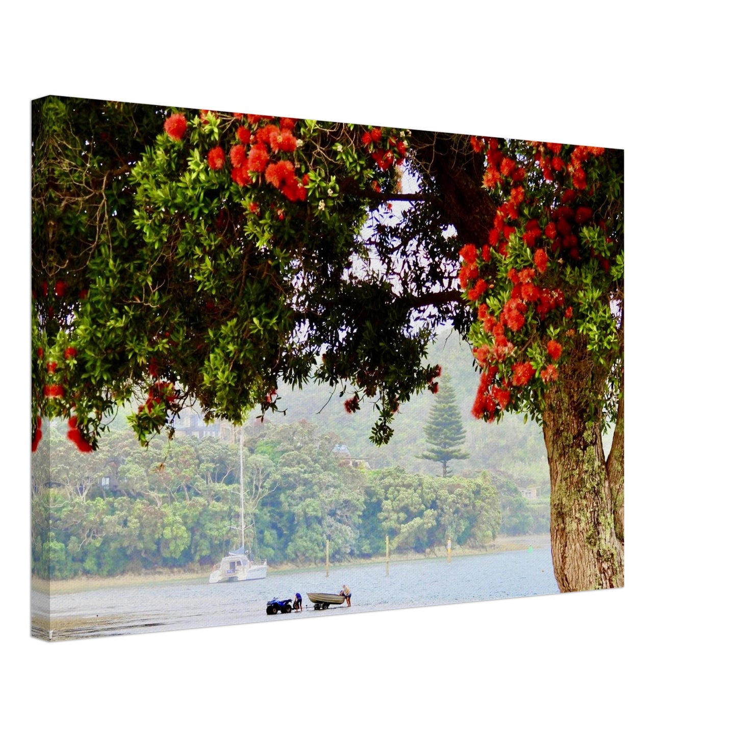 a851134b-b7a3-4a53-b9b4-cdef86c02d64