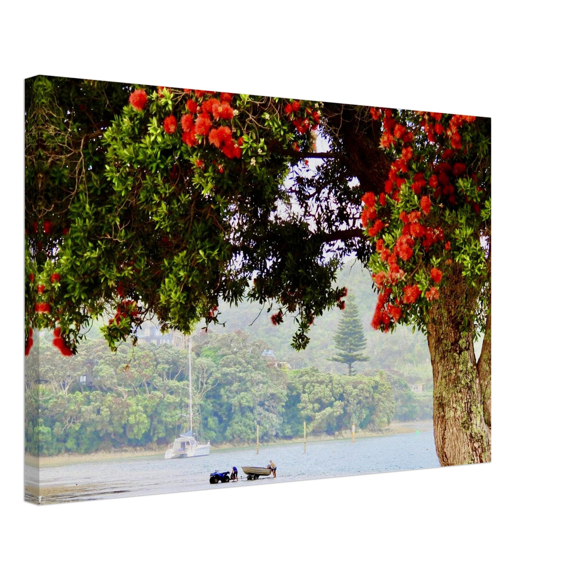 a851134b-b7a3-4a53-b9b4-cdef86c02d64