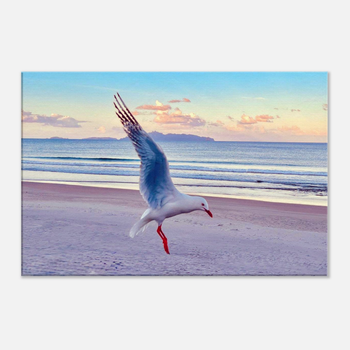 b6acf66d-f5f8-4ead-89fb-914a1c435467