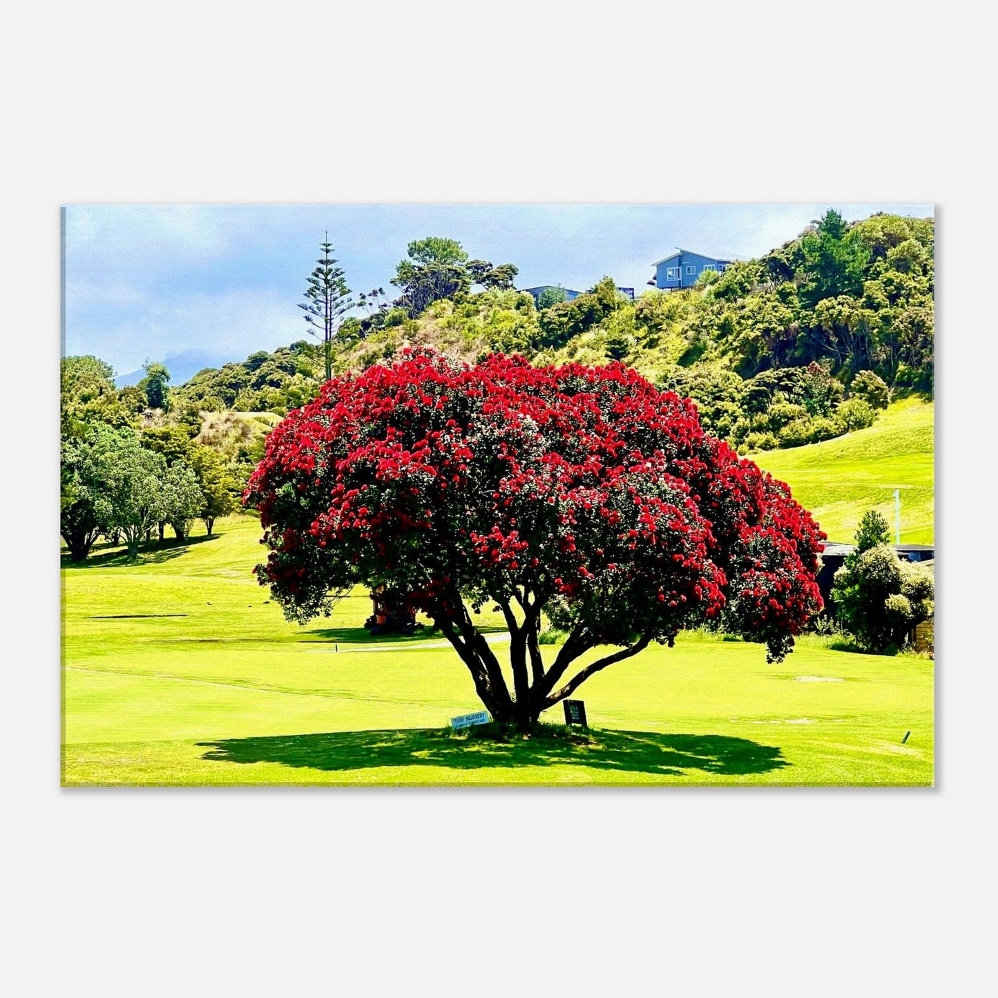 c0f2e90f-7fa2-4420-9cae-2c4c31e44bfd